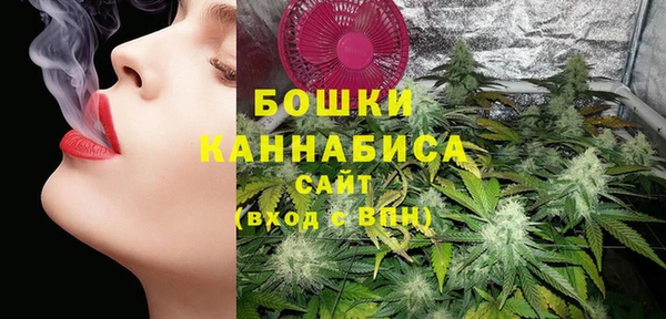 винт Няндома