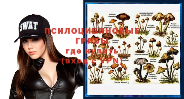 экстази Осташков