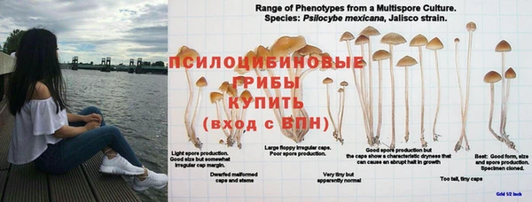 прущая мука Нягань
