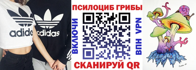 наркота  Богучар  OMG сайт  Псилоцибиновые грибы Cubensis 